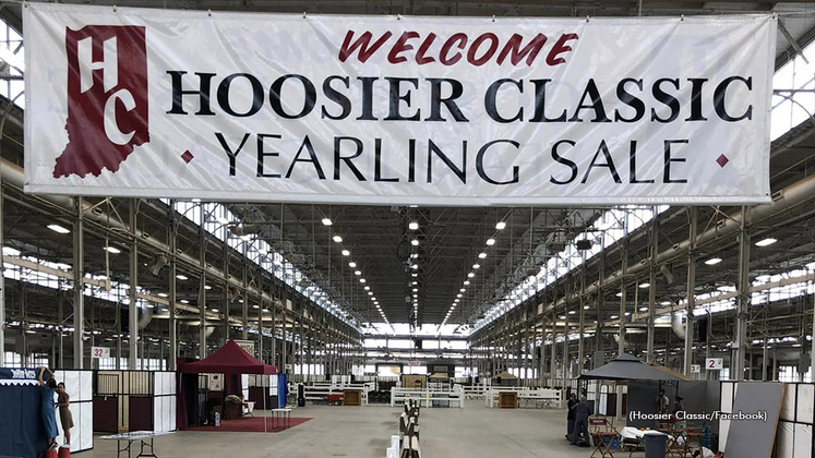 The entrance to the Hoosier Classic Yearling Sale