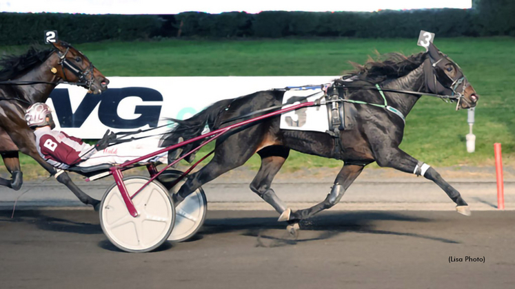 Miss I La winning at The Meadowlands