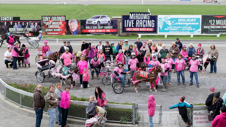 Previous Pink Out festivities at The Meadows