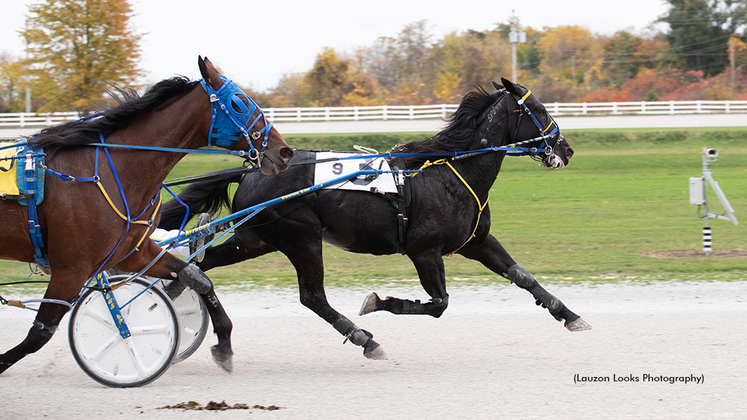 Workinitonbroadway winning at Leamington Raceway