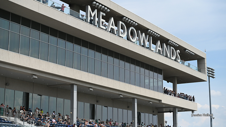 A view of the Meadowlands signage on the grandstand