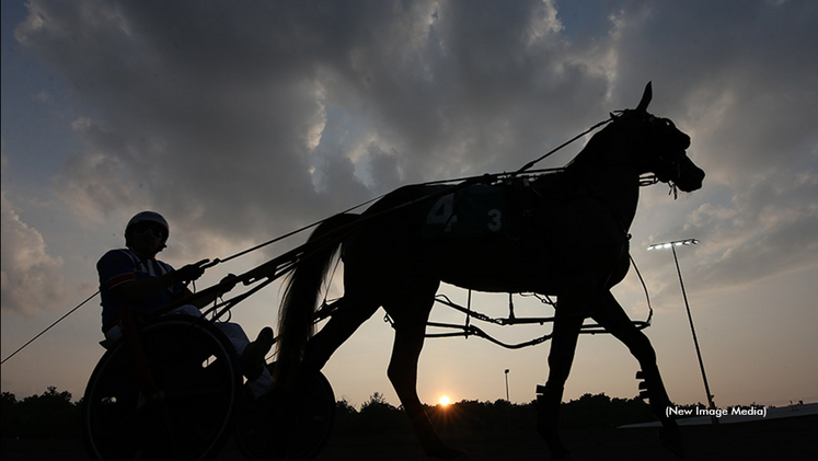 A silhouette of a racehorse and driver