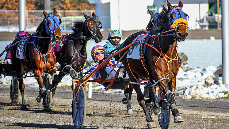 Lucan Hanover