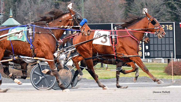 Rock A Honey winning at Saratoga Raceway