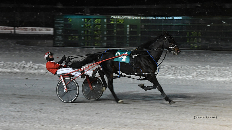 Blood Money winning at Charlottetown Driving Park