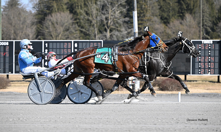 Magical Maya A winning at Saratoga Raceway