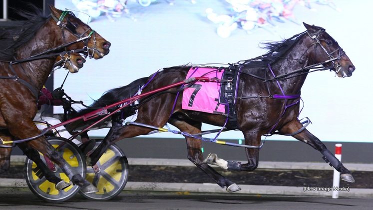 Speaker Of Peace winning at Woodbine Mohawk Park