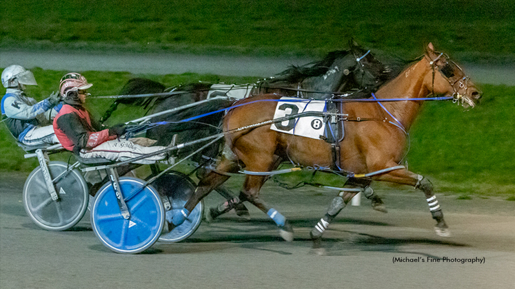 Armycaptin Hanover winning at Fraser Downs