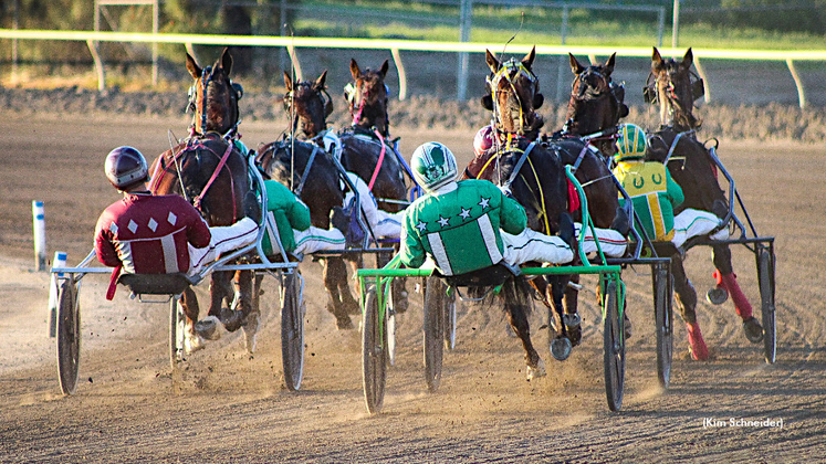 Harness racing at Cal Expo