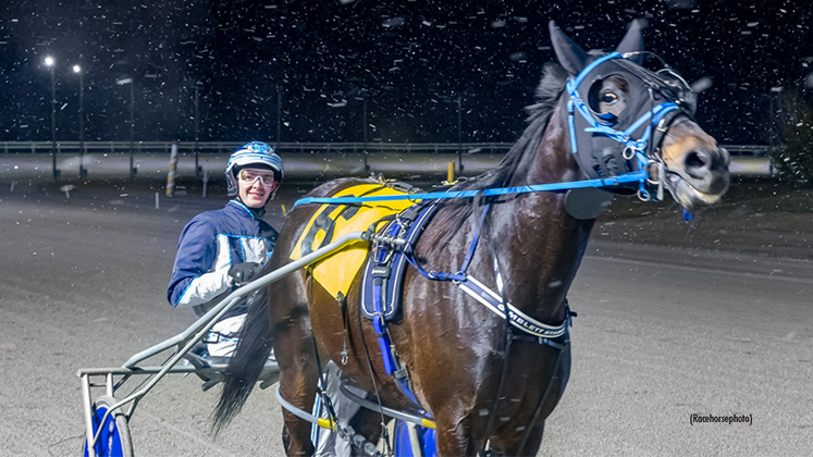 Stuck In My Spanks  Standardbred Canada