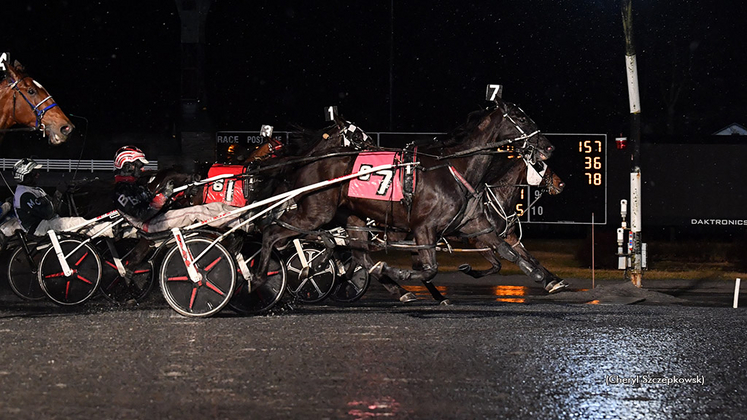 Celebrity Endeavor winning at Saratoga Raceway