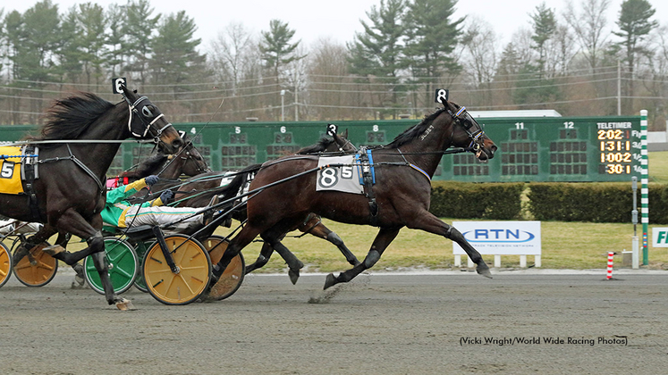 Drazzmatazz winning at Freehold Raceway