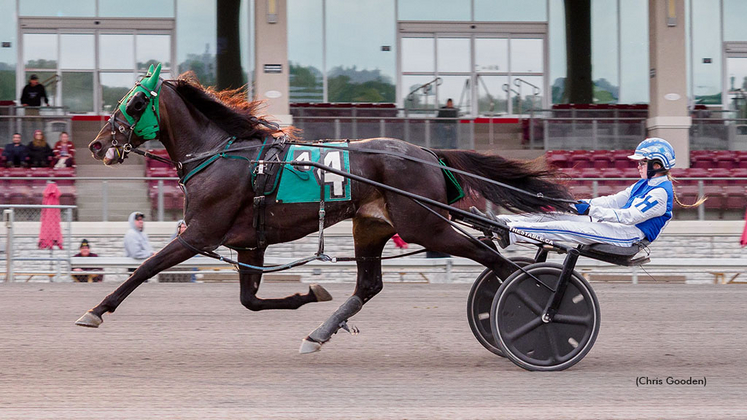 Lauren Harmon winning with Macho Martini at The Meadows