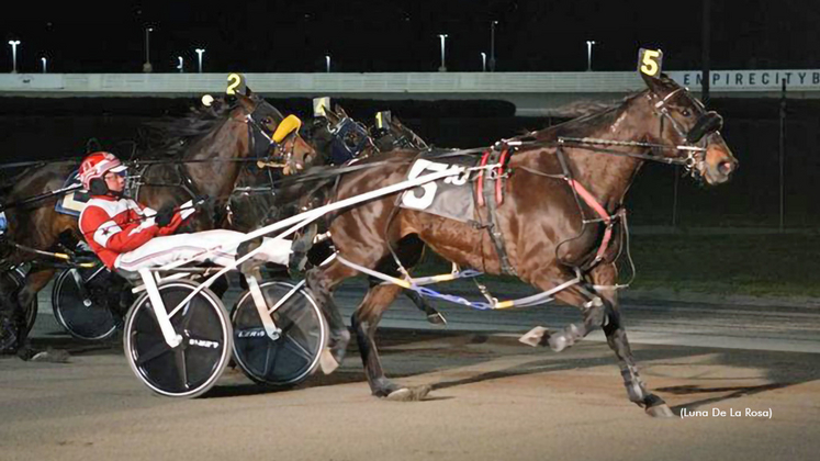 Lit De Rose winning at Yonkers Raceway