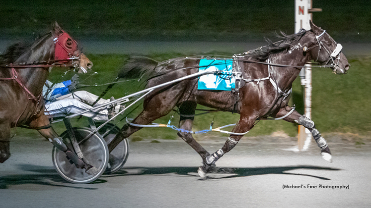 Sunshine Boy winning at Fraser Downs