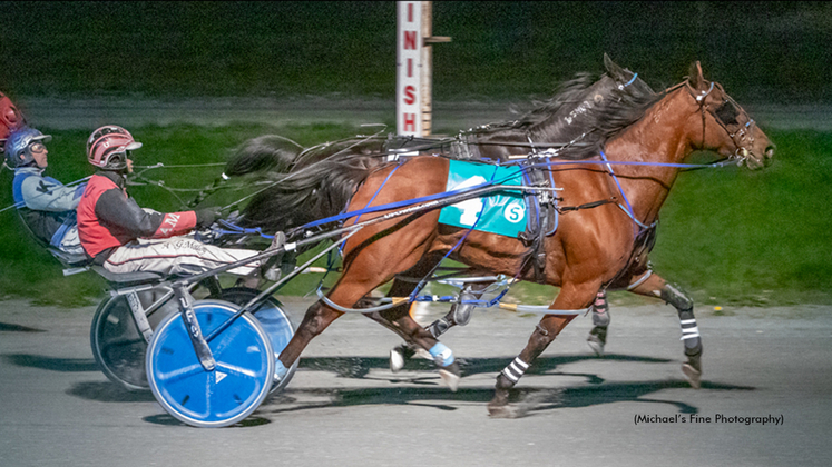 Armycaptin Hanover winning at Fraser Downs