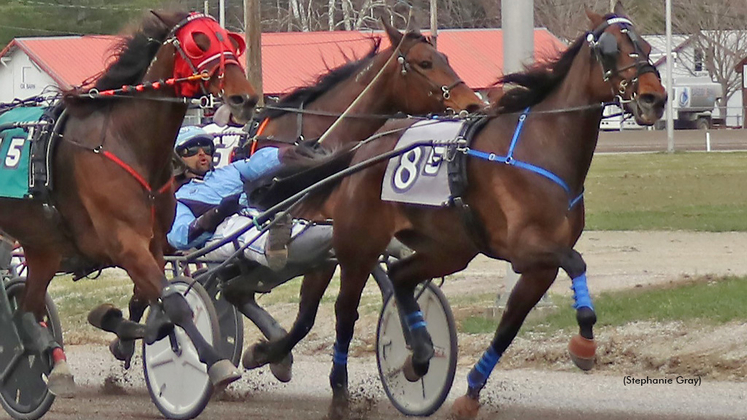 McStoned Again winning at First Tracks Cumberland last year