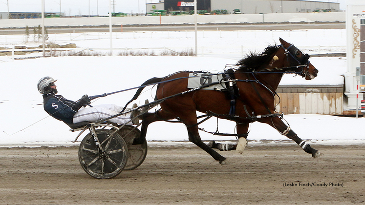 Outlaw Sharktastic winning at Century Downs