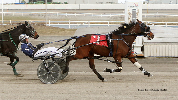 Outlaw Sharktastic winning at Century Downs