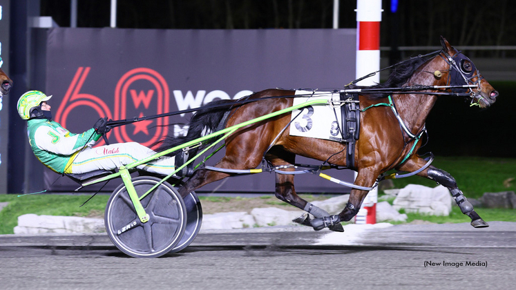 Powder Play winning at Woodbine Mohawk Park