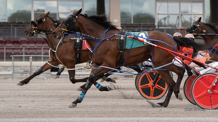 Sonadora winning at The Meadows