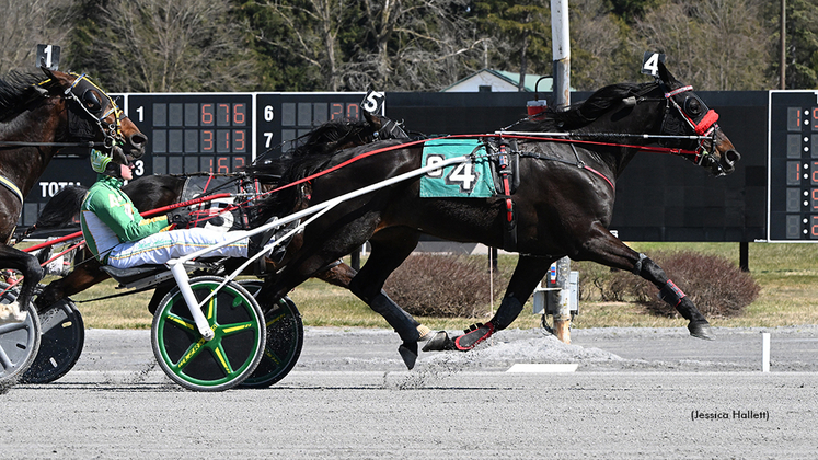 Summit City Sonny winning at Saratoga Raceway