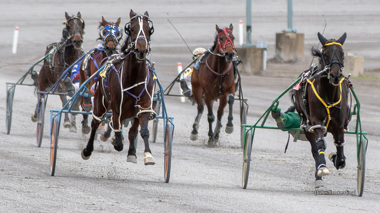 Harness racing at Buffalo Raceway