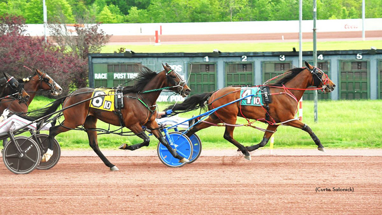 Dontmesswithles winning at Pocono Downs