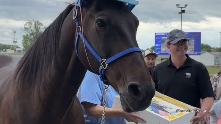 Foiled again at his 20th birthday party hosted by Shenandoah Downs