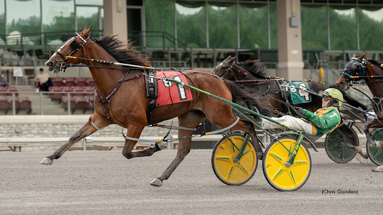 Geocentric winning at The Meadows