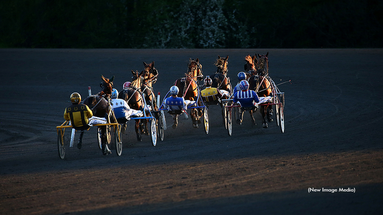 Harness racing drivers