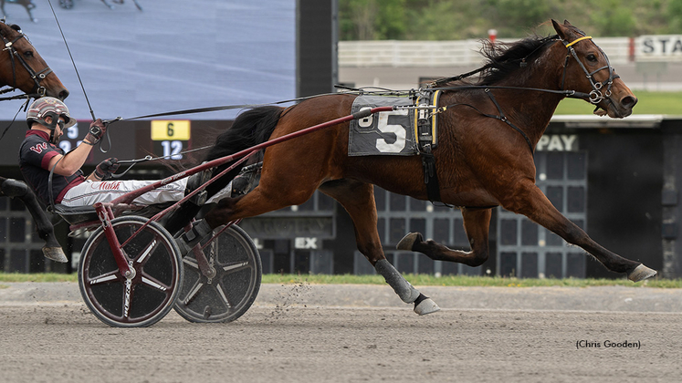 Jeffery P winning at The Meadows