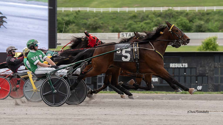 John Dutton winning at The Meadows