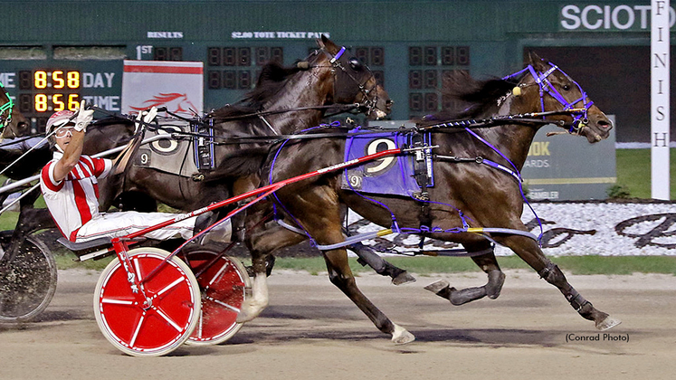 Little Rocket Man winning at Scioto Downs