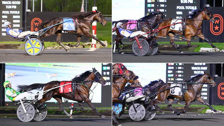 SBOA Stakes filly elimination winners Willys Home Run, Pass Line, Sorcha Seelster and R Liza (clockwise from top left)