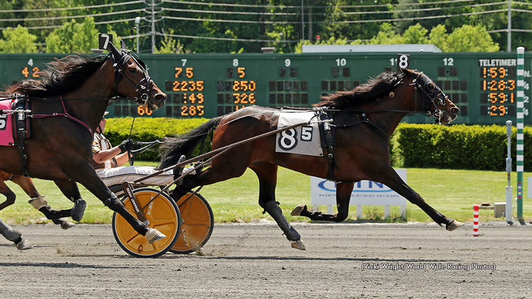 Shoemaker Hanover winning at Freehold Raceway