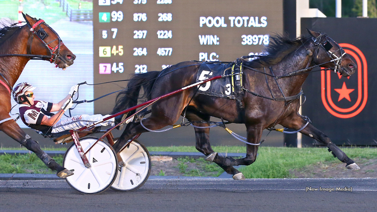 Silver Label winning at Woodbine Mohawk Park