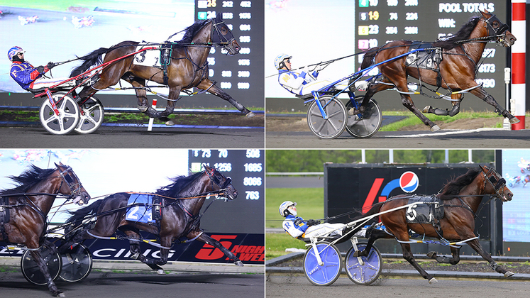 Clockwise from top left: Funtie Bayama, Legendary Hanover, Nijnsky and Mirage Hanover