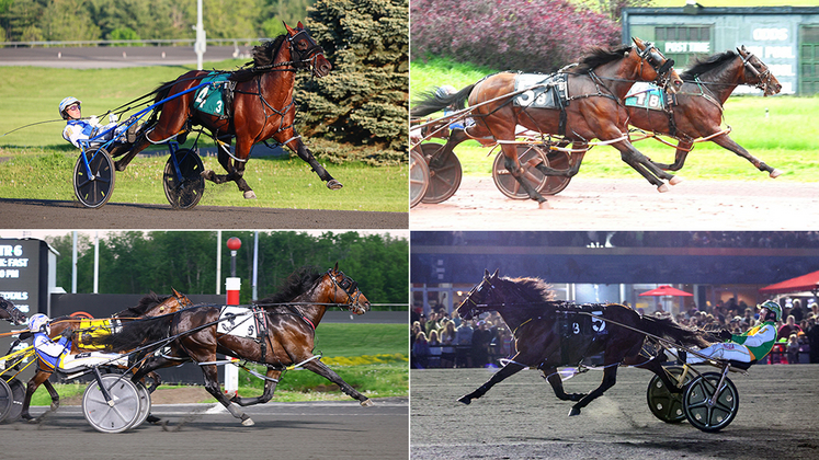 Clockwise from top left: Legendary Hanover, Captain Albano, Captains Quarters and Calicojack Hanover