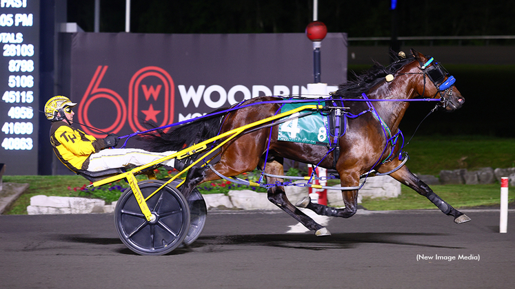 Vis A Vis Bluechip winning at Woodbine Mohawk Park