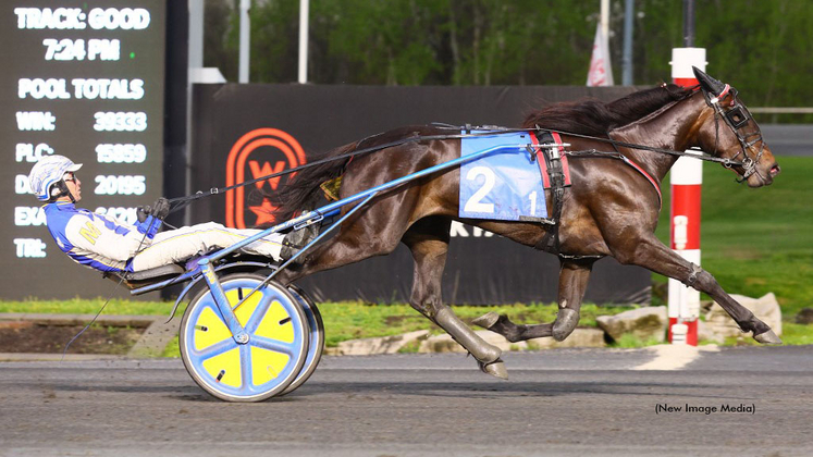 Willys Home Run winning at Woodbine Mohawk Park