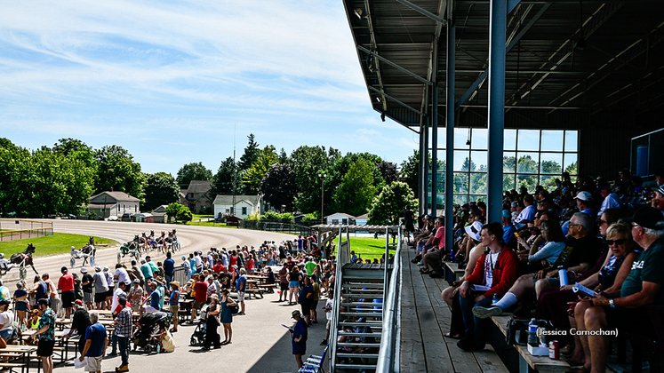 Harness racing at Clinton Raceway