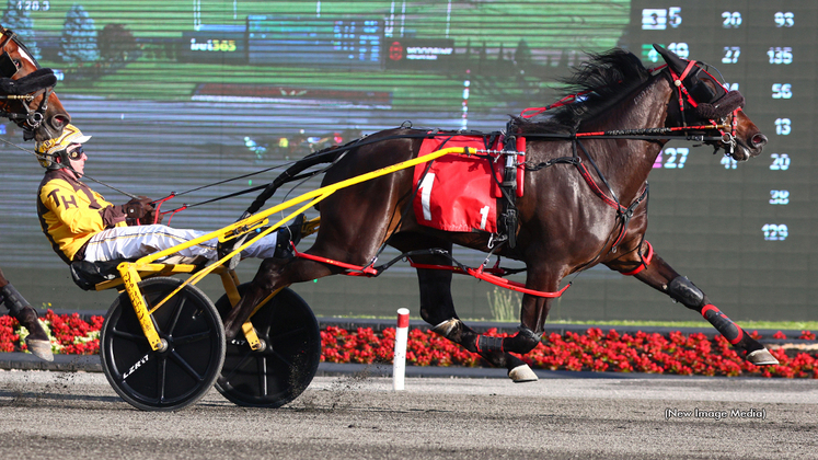 Darlenes Angel winning at Woodbine Mohawk Park