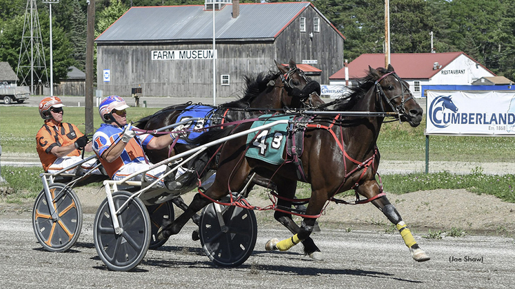 Gowestyounggrace winning at First Tracks Cumberland