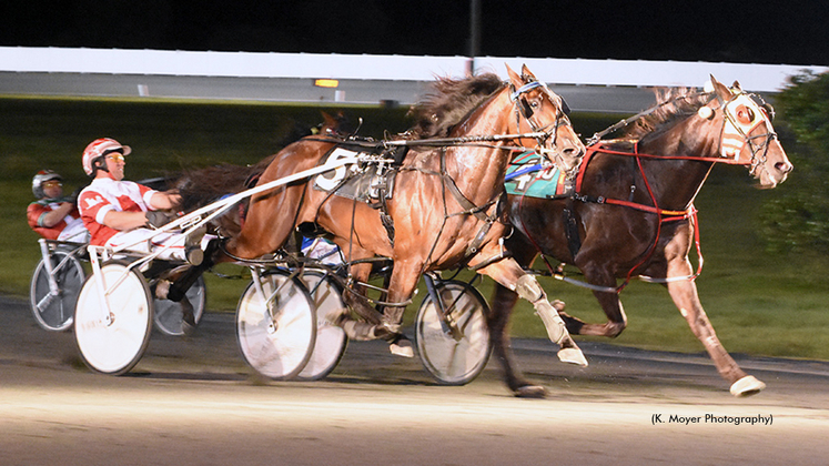 Iwannabewithyou winning at Ocean Downs