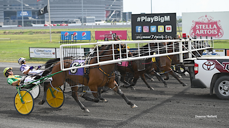 Heading for a start at The Meadowlands