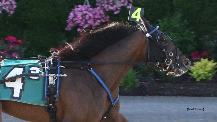 R Melina winning at Tioga Downs