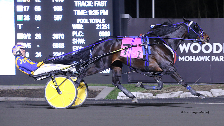 Shadrack Hanover winning at Woodbine Mohawk Park