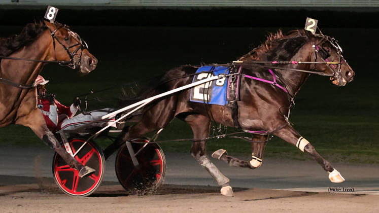 Sir Pinocchio winning at Yonkers Raceway