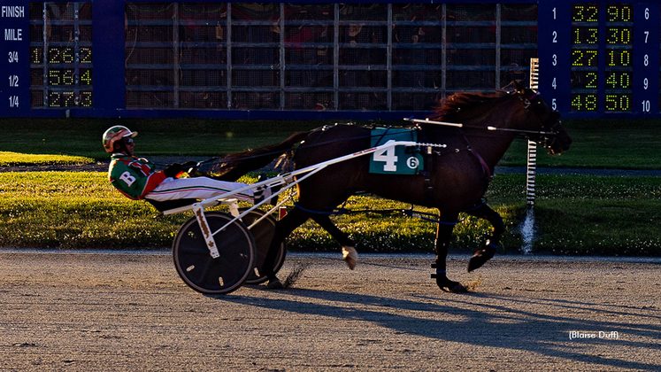 Tobins Chester winning at Truro Raceway